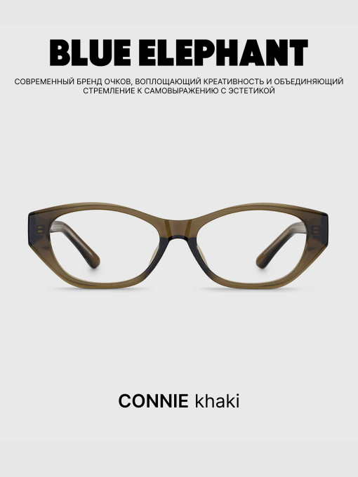 Очки BLUE ELEPHANT CONNIE Khaki модель CP114477 Фото