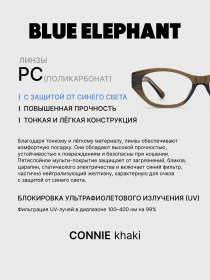 Очки BLUE ELEPHANT CONNIE Khaki модель CP114477 Фото