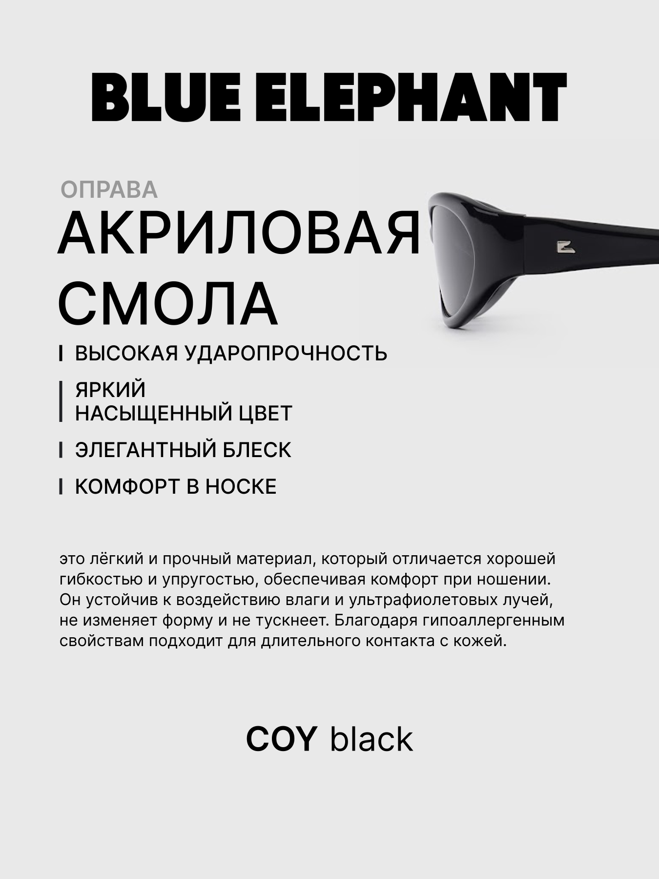 Очки BLUE ELEPHANT COY Black модель CP114526 Очки BLUE ELEPHANT COY Black модель CP114526 Фото
