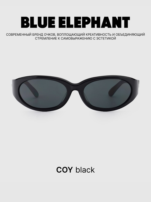 Очки BLUE ELEPHANT COY Black модель CP114526 Фото