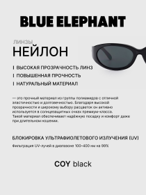 Очки BLUE ELEPHANT COY Black модель CP114526 Фото