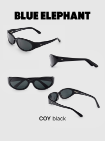 Очки BLUE ELEPHANT COY Black модель CP114526 Фото