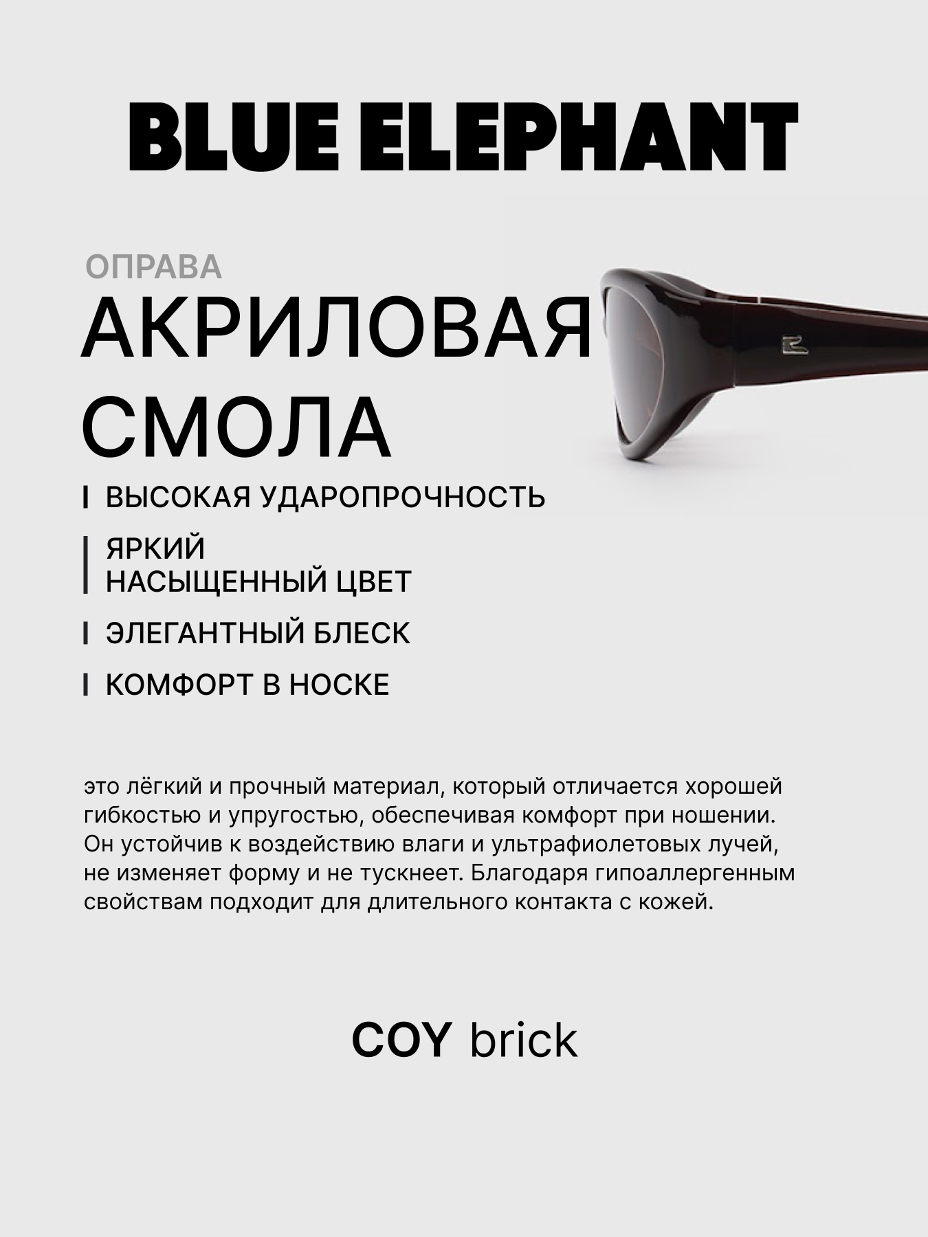 Очки BLUE ELEPHANT COY Brick модель CP114527 Очки BLUE ELEPHANT COY Brick модель CP114527 Фото
