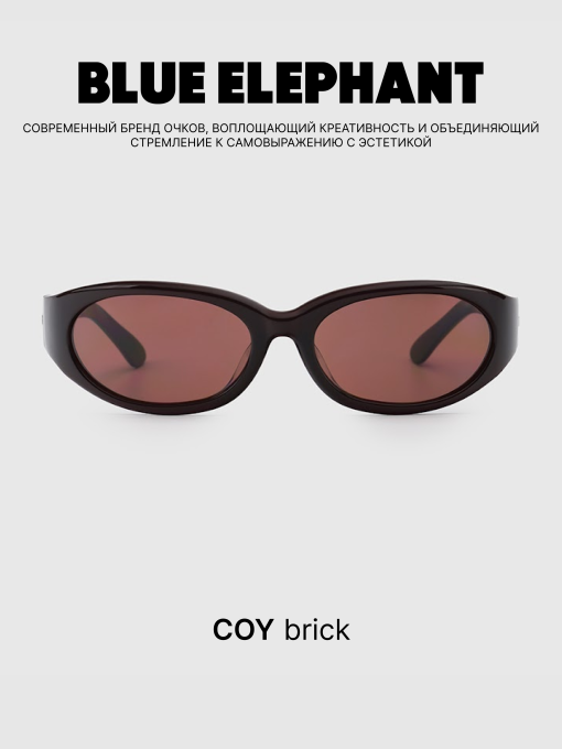 Очки BLUE ELEPHANT COY Brick модель CP114527 Фото