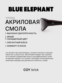 Очки BLUE ELEPHANT COY Brick модель CP114527 Фото