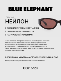 Очки BLUE ELEPHANT COY Brick модель CP114527 Фото