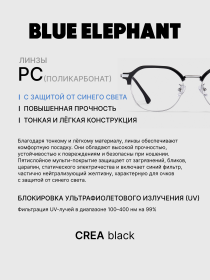 Очки BLUE ELEPHANT CREA Black модель CP114403 Фото