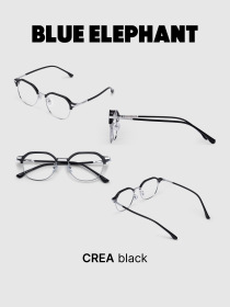 Очки BLUE ELEPHANT CREA Black модель CP114403 Фото