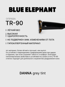 Очки BLUE ELEPHANT DANNA Grey Tint модель CP114406 Фото