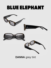 Очки BLUE ELEPHANT DANNA Grey Tint модель CP114406 Фото