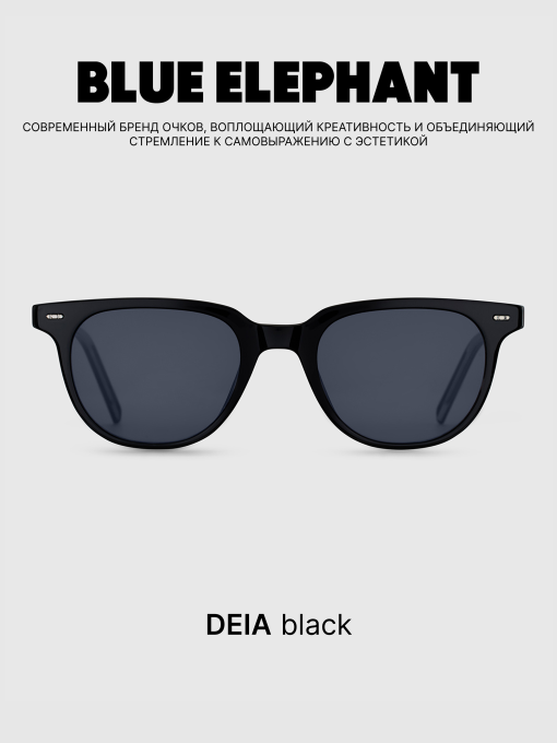 Очки BLUE ELEPHANT DEIA Black модель CP114410 Фото