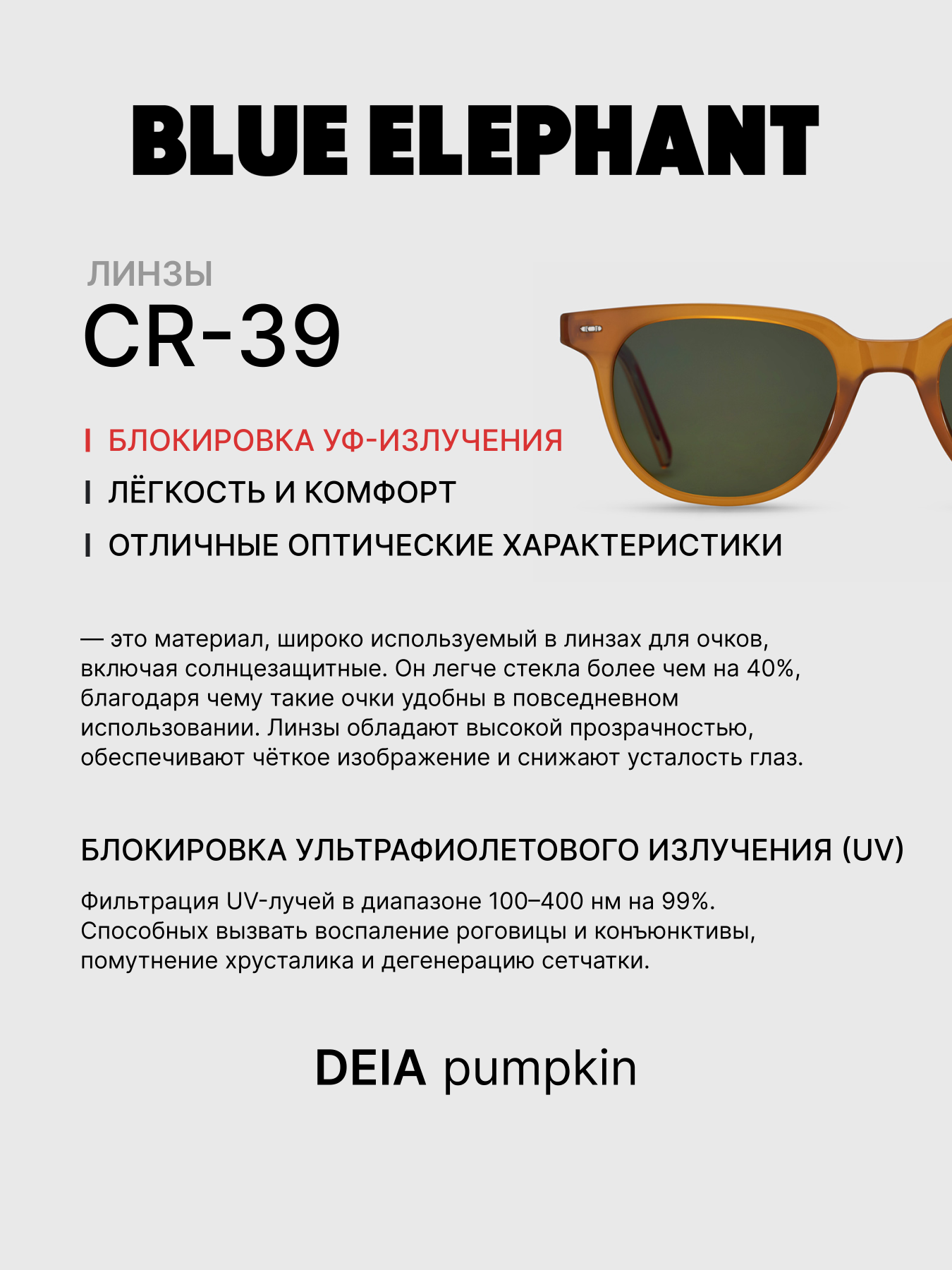 Очки BLUE ELEPHANT DEIA Pumpkin модель CP114411 Очки BLUE ELEPHANT DEIA Pumpkin модель CP114411 Фото