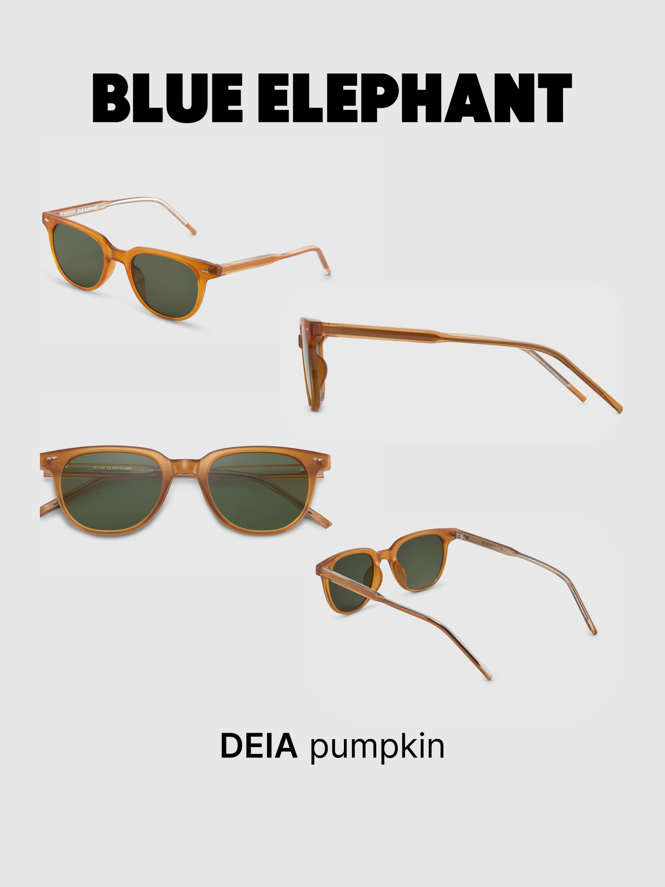 Очки BLUE ELEPHANT DEIA Pumpkin модель CP114411 Очки BLUE ELEPHANT DEIA Pumpkin модель CP114411 Фото