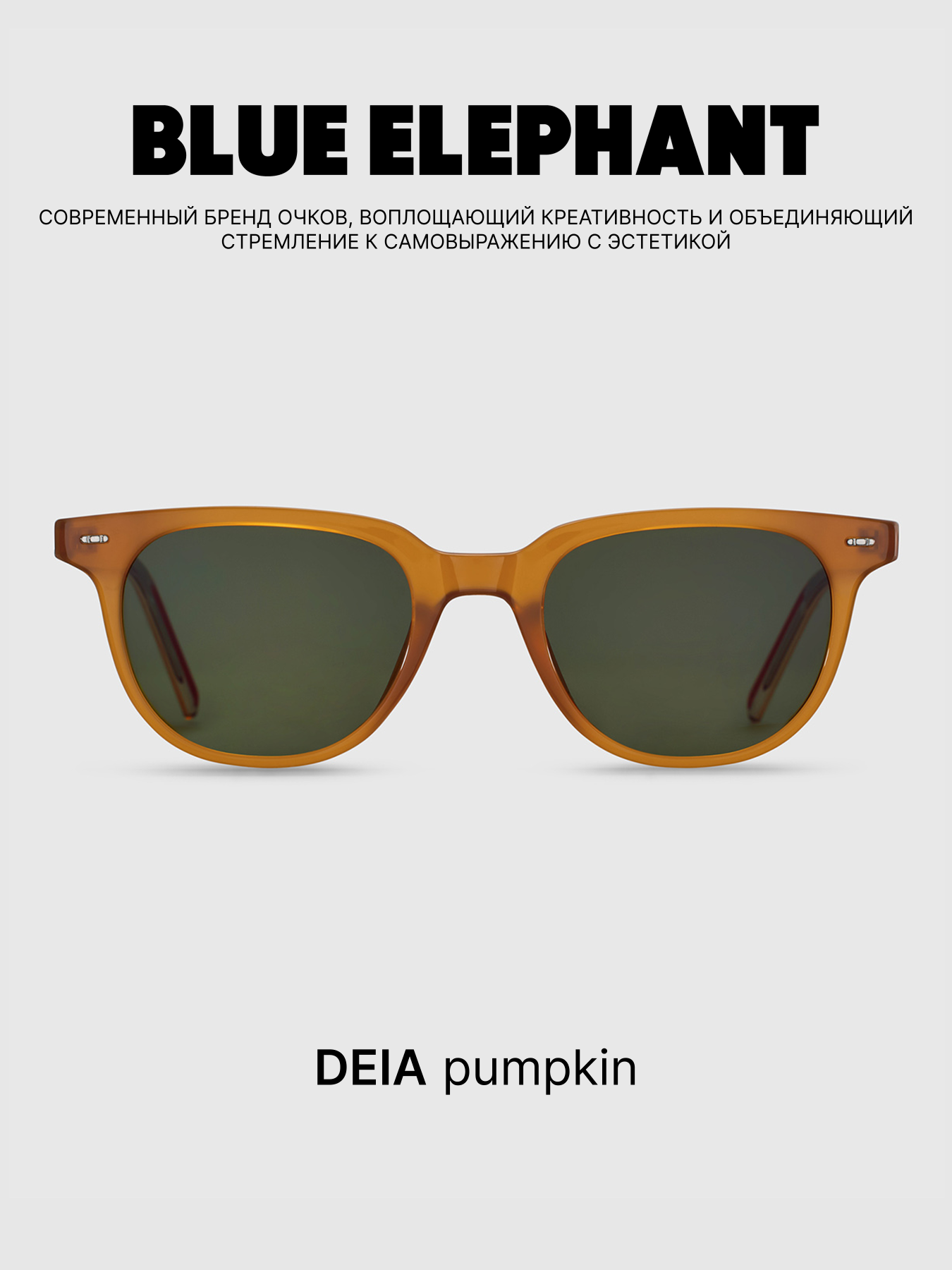 Очки BLUE ELEPHANT DEIA Pumpkin модель CP114411 Очки BLUE ELEPHANT DEIA Pumpkin модель CP114411 Фото