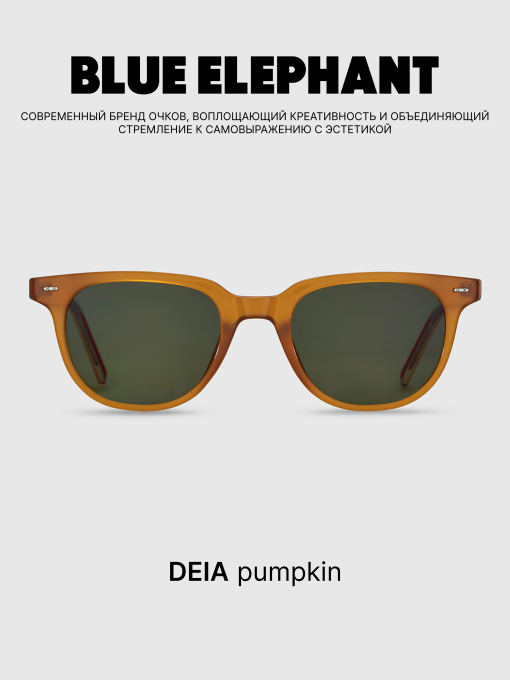 Очки BLUE ELEPHANT DEIA Pumpkin модель CP114411 Фото