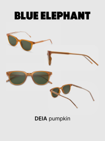 Очки BLUE ELEPHANT DEIA Pumpkin модель CP114411 Фото