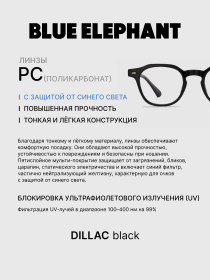 Очки BLUE ELEPHANT DILLAC Black модель CP114412 Фото