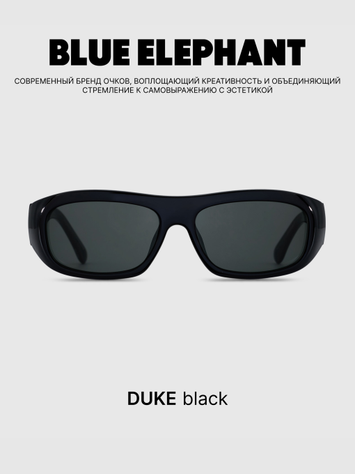 Очки BLUE ELEPHANT DUKE Black модель CP114478 Фото