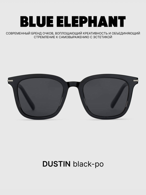 Очки BLUE ELEPHANT DUSTIN Black-po модель CP114414 Фото