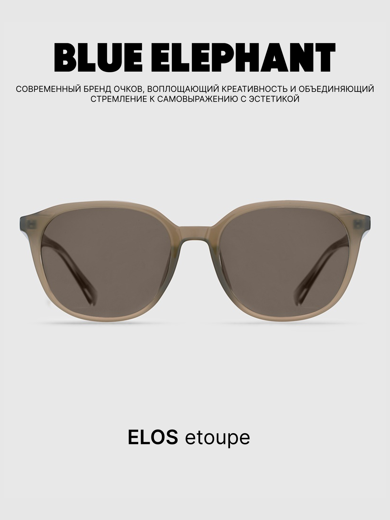 Очки BLUE ELEPHANT ELOS Etoupe модель CP114417 Очки BLUE ELEPHANT ELOS Etoupe модель CP114417 Фото