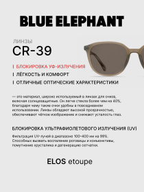 Очки BLUE ELEPHANT ELOS Etoupe модель CP114417 Фото