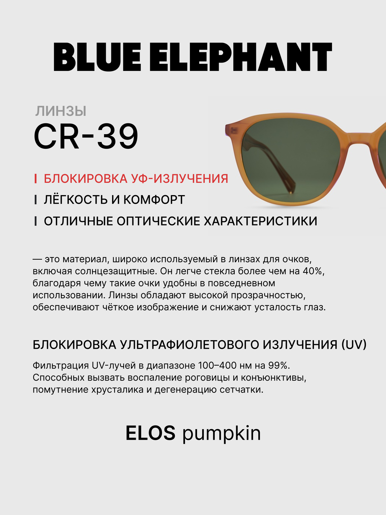 Очки BLUE ELEPHANT ELOS Pumpkin модель CP114418 Очки BLUE ELEPHANT ELOS Pumpkin модель CP114418 Фото