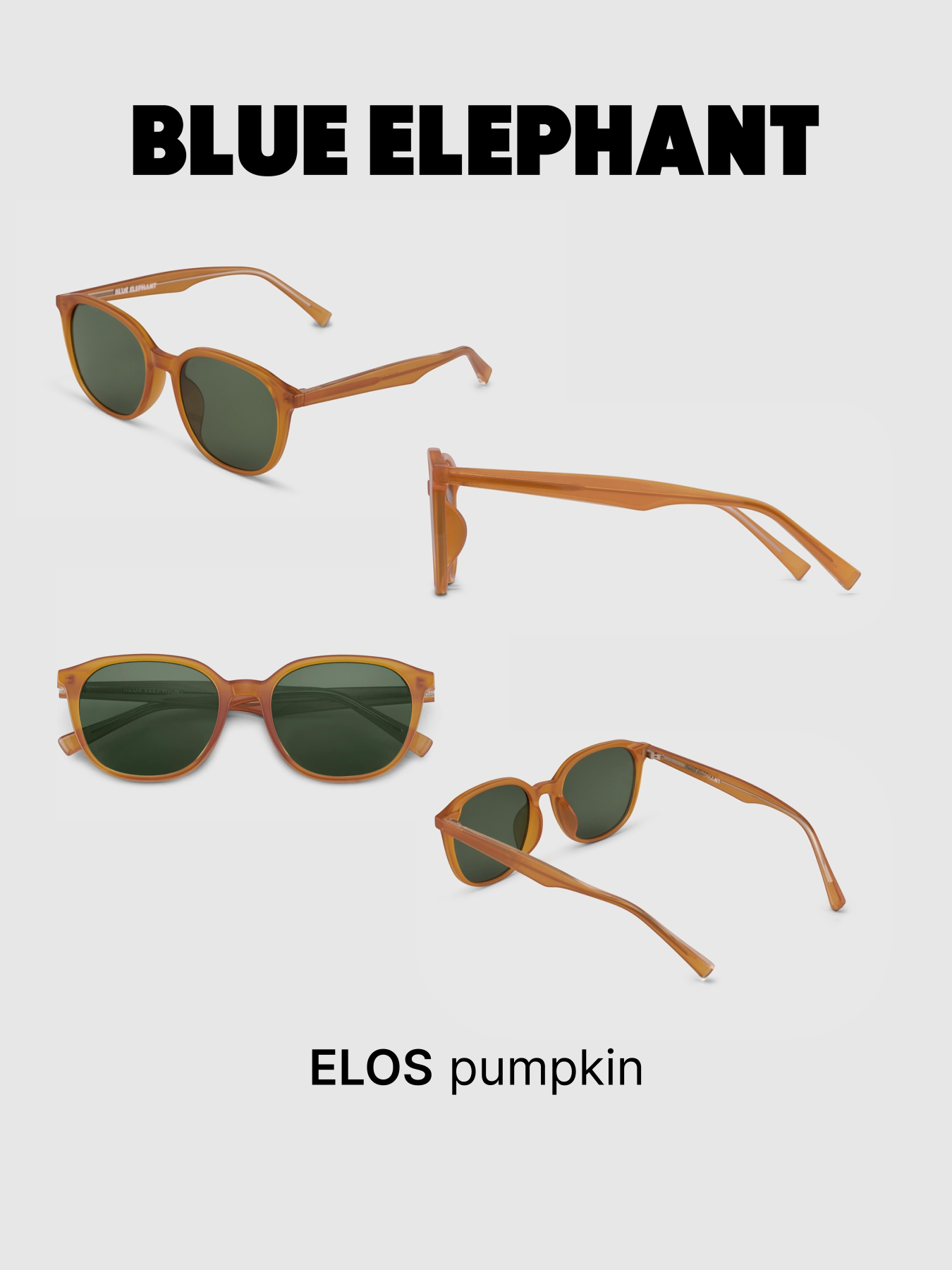 Очки BLUE ELEPHANT ELOS Pumpkin модель CP114418 Очки BLUE ELEPHANT ELOS Pumpkin модель CP114418 Фото