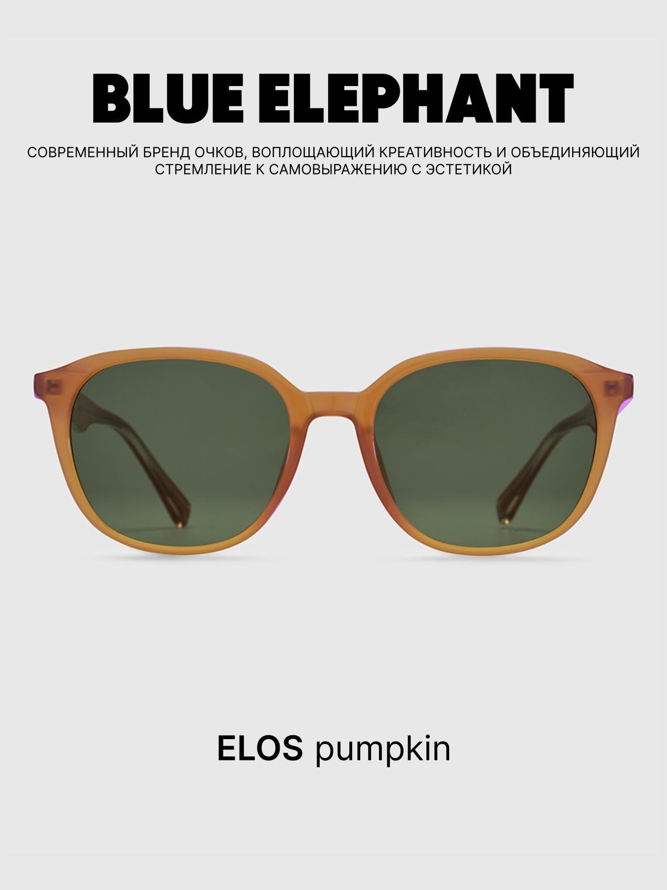 Очки BLUE ELEPHANT ELOS Pumpkin модель CP114418 Очки BLUE ELEPHANT ELOS Pumpkin модель CP114418 Фото