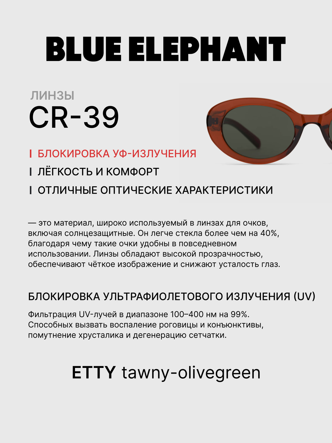 Очки BLUE ELEPHANT ETTY Tawny-Olivegreen модель CP114420 Очки BLUE ELEPHANT ETTY Tawny-Olivegreen модель CP114420 Фото