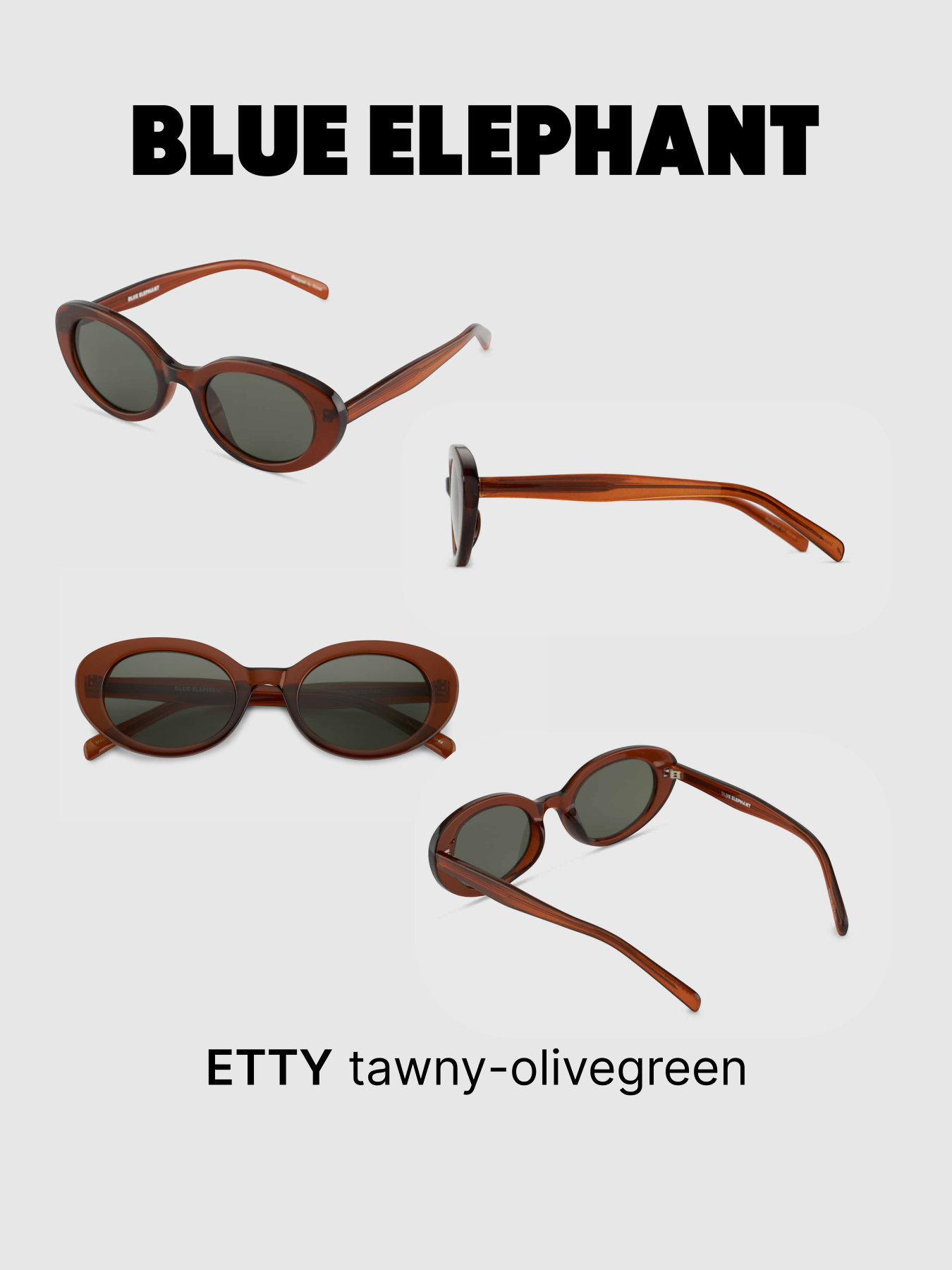 Очки BLUE ELEPHANT ETTY Tawny-Olivegreen модель CP114420 Очки BLUE ELEPHANT ETTY Tawny-Olivegreen модель CP114420 Фото