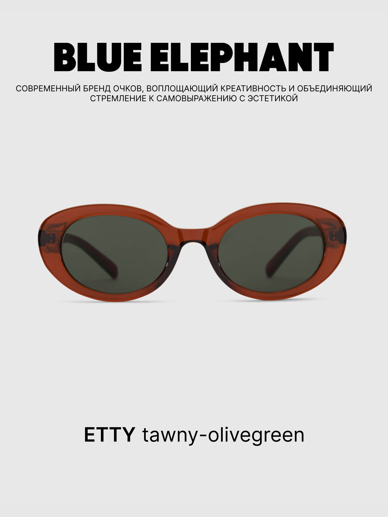 Очки BLUE ELEPHANT ETTY Tawny-Olivegreen модель CP114420 Очки BLUE ELEPHANT ETTY Tawny-Olivegreen модель CP114420 Фото