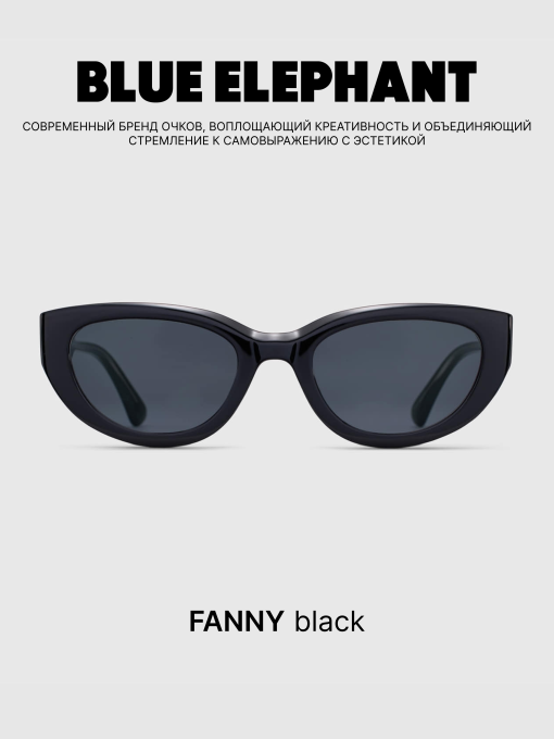 Очки BLUE ELEPHANT FANNY Black модель CP114480 Фото