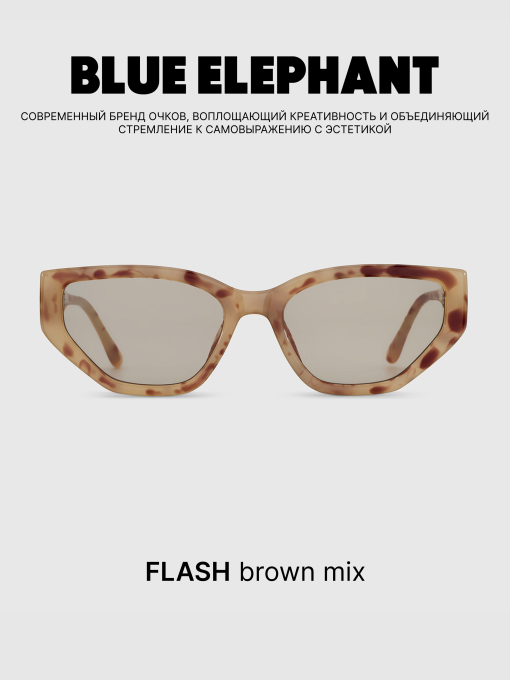 Очки BLUE ELEPHANT FLASH Brown Mix модель CP114529 Фото