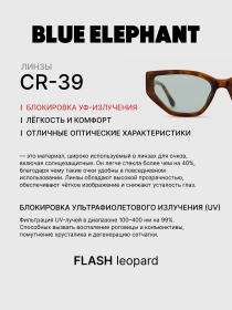 Очки BLUE ELEPHANT FLASH Leopard модель CP114530 Фото