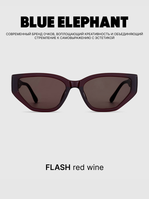 Очки BLUE ELEPHANT FLASH Red Wine модель CP114531 Фото