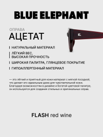 Очки BLUE ELEPHANT FLASH Red Wine модель CP114531 Фото