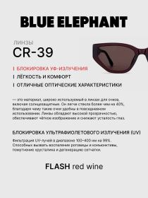 Очки BLUE ELEPHANT FLASH Red Wine модель CP114531 Фото