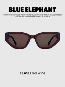 Очки BLUE ELEPHANT FLASH Red Wine модель CP114531 Фото