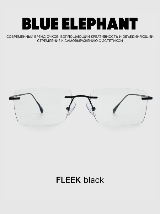 Очки BLUE ELEPHANT FLEEK Black модель CP114421 Фото
