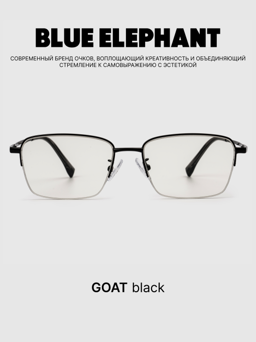 Очки BLUE ELEPHANT GOAT Black модель CP114422 Фото