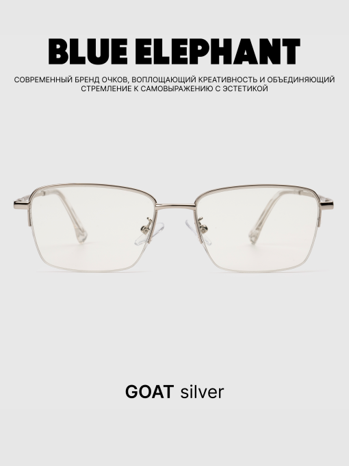 Очки BLUE ELEPHANT GOAT Silver модель CP114423 Фото