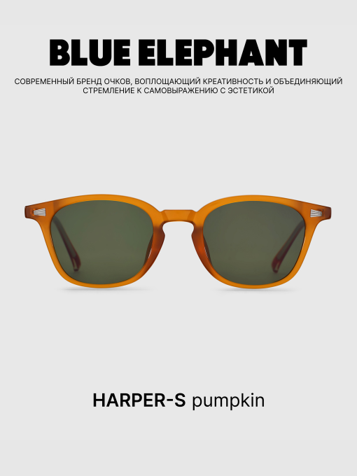 Очки BLUE ELEPHANT HARPER-S Pumpkin модель CP114484 Фото