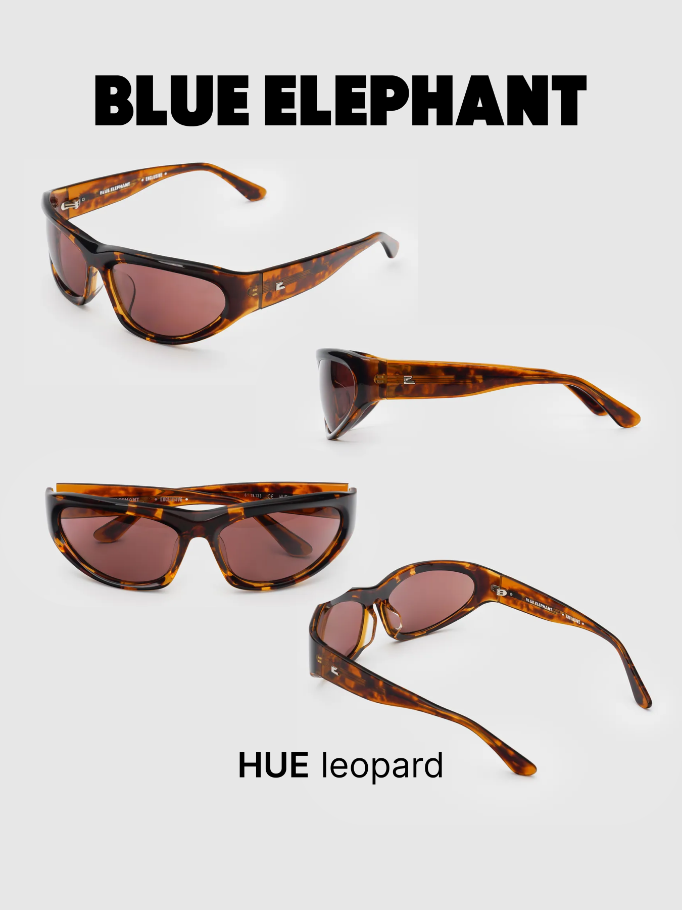 Очки BLUE ELEPHANT HUE Leopard модель CP114534 Очки BLUE ELEPHANT HUE Leopard модель CP114534 Фото