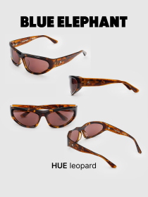Очки BLUE ELEPHANT HUE Leopard модель CP114534 Фото
