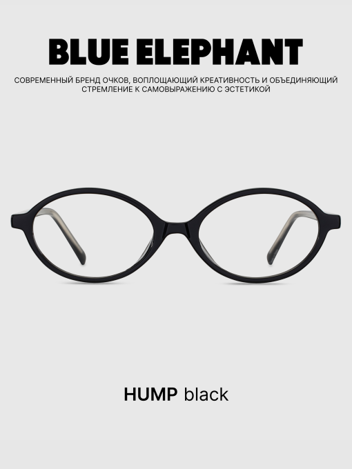Очки BLUE ELEPHANT HUMP Black модель CP114426 Фото