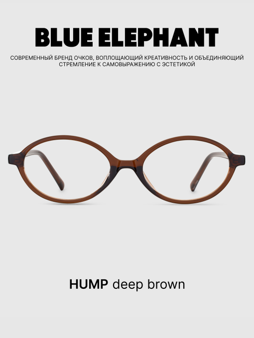 Очки BLUE ELEPHANT HUMP Deep Brown модель CP114427 Фото