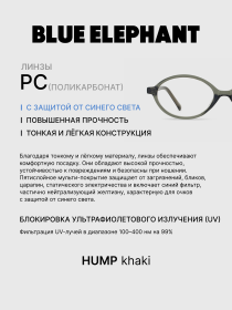 Очки BLUE ELEPHANT HUMP Khaki модель CP114428 Фото