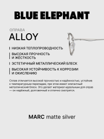 Очки BLUE ELEPHANT MARC Matte Silver модель CP114537 Фото