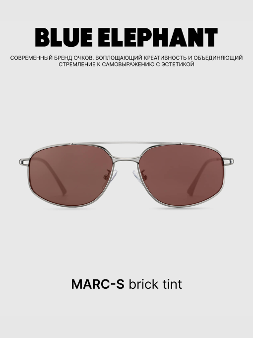 Очки BLUE ELEPHANT MARC-S Brick Tint модель CP114539 Фото