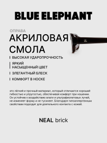 Очки BLUE ELEPHANT NEAL Brick модель CP114541 Фото
